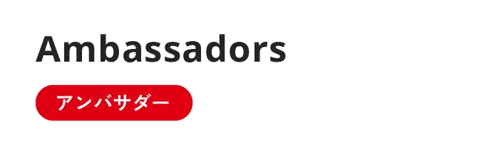 Ambassadors